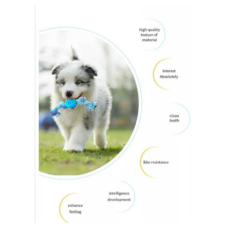 ball and rope toy