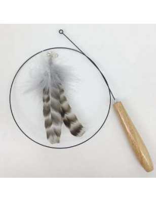Fishing rod for cat and feather