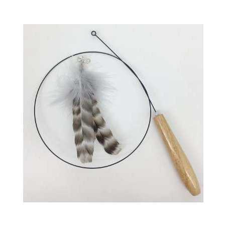 Fishing rod for cat and feather