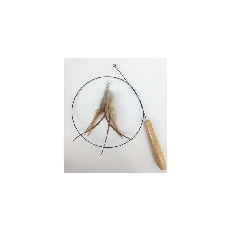 Fishing rod for cat and feather