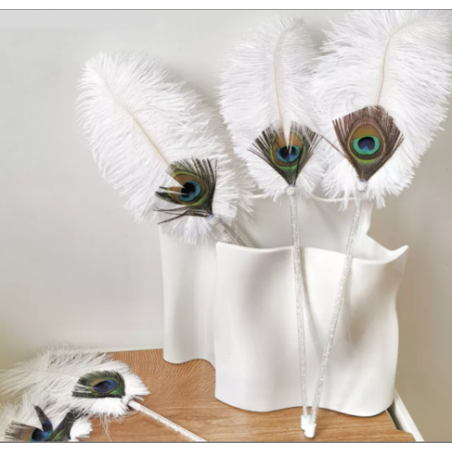 Amazon Cat Duster