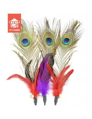 peacock feather toy