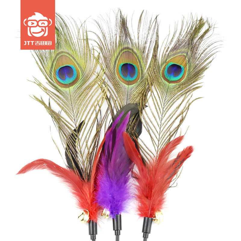 peacock feather toy