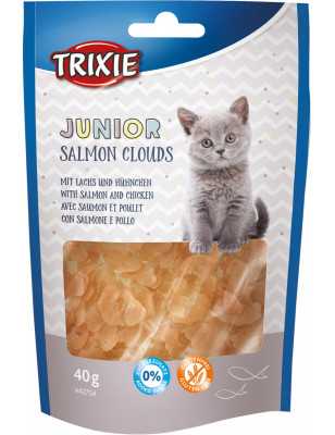 Junior Salmon Clouds