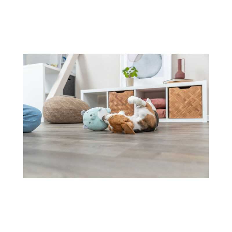 Junior, oso de peluche