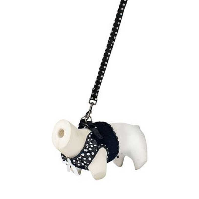Doogy, Ensemble Harnais air mesh et laisse pois