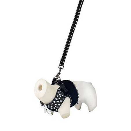Doogy, Ensemble Harnais air mesh et laisse noir