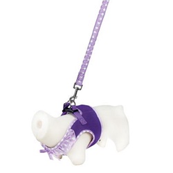 Doogy, Ensemble Harnais air mesh et laisse pois