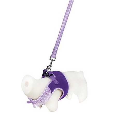 Doogy, Ensemble Harnais air mesh et laisse violet