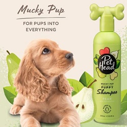 Divers, Shampoing chiot Mucky Pup Pet Head : 300ml