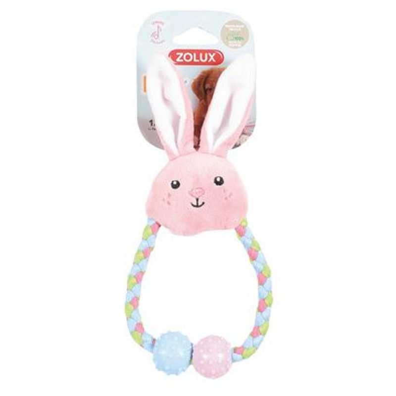 Zolux, Rassel Welpe Tiny Rabbit Zolux, Rassel Welpe Tiny Rabbit