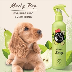 Pet Head, Spray sans rinçage chiot Mucky Pup Pet Head : 300ml