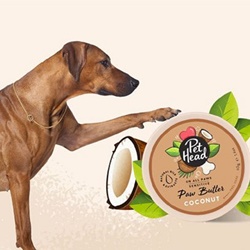 Pet Head, Pet Head Coconut Paw Balm: 40g