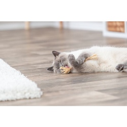 Bâtonnet de matatabi naturel avec franges en jute pour chat Trixie 42435