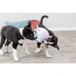 Junior, Trixie Teddybär