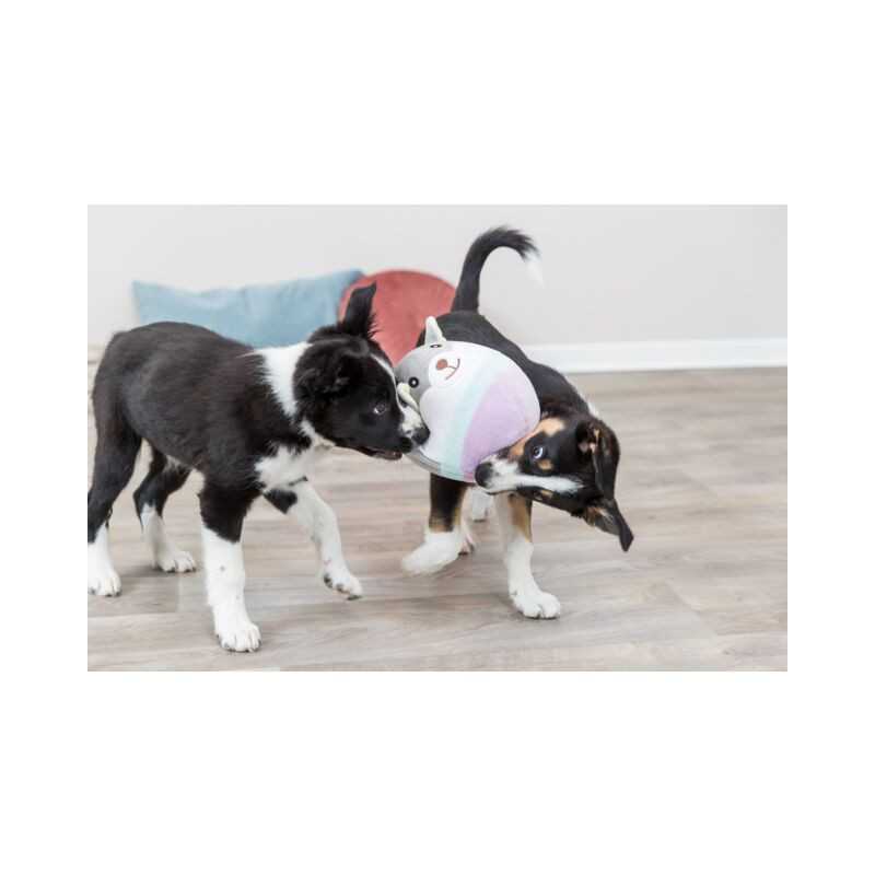 Junior, osito de peluche Trixie