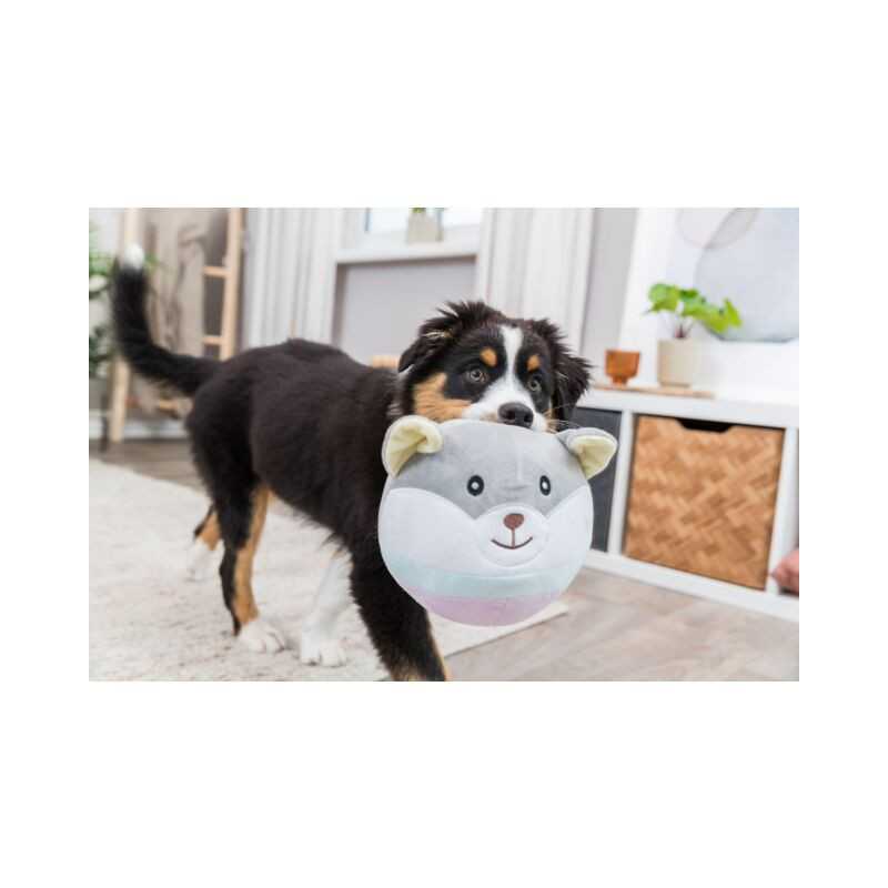 Junior, Trixie Teddybär