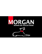 Shampooing Morgan pour chiens et chats