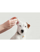 Soins pour les oreilles des chiens et chats