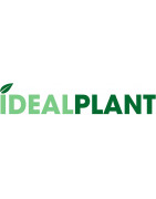 Champú ideal para plantas