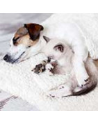 SLEEPING