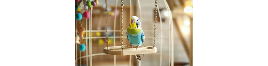 Accessoires pour cage oiseaux