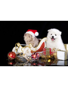 Christmas gifts for animals