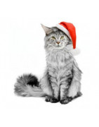Regali di Natale per gatti