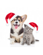 Luxuriöse Weihnachtsgeschenke für Tiere