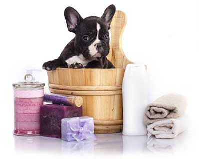 AL BAGNO