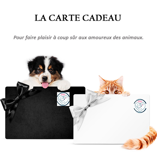 CARTE CADEAU.jpg