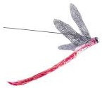 DRAGONFLY CAT TOY