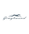 Greyhound