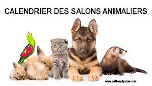Le calendrier des salons animaliers