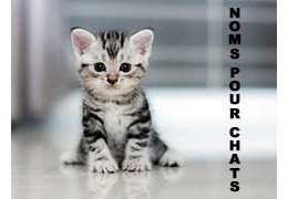 Noms de Chats par lettre
