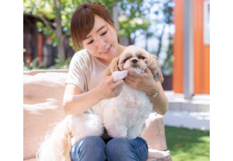 TACHES SOUS LES YEUX DU CHIEN