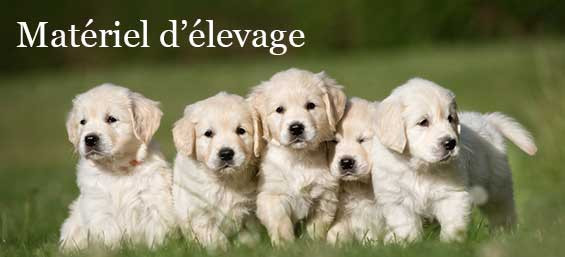 A l'élevage