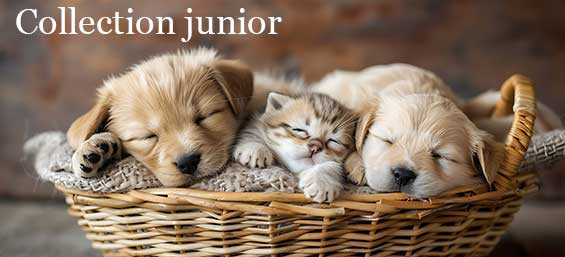 Collection Junior