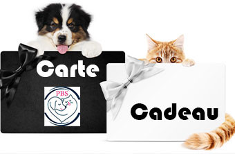 Carte Cadeau PBS