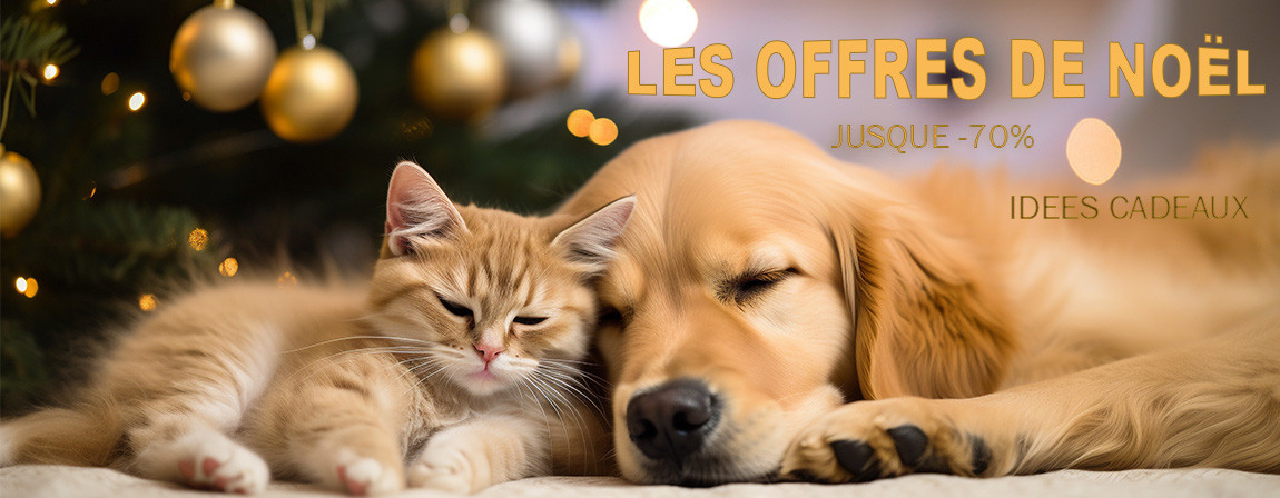 Ofres de Noel chiens et chats