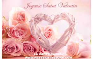 
			                        			Carte cadeau Saint Valentin